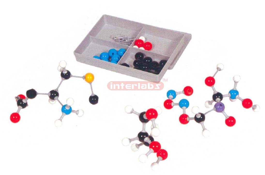 MOLECULAR MODELS SET, STUDENT, BIOCHEMISTRY